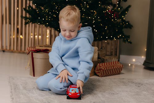 おもちゃ, カーペット, クリスマスツリーの無料の写真素材