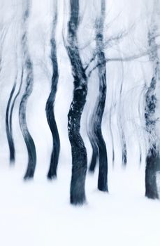 Dreamy abstract winter forest scene with blurred trees and snow, evoking calm and mystery.
