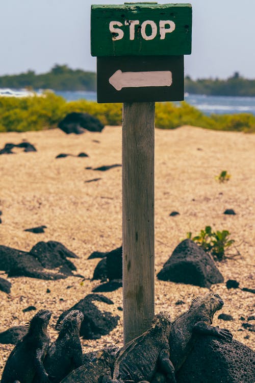 Wooden Sign on a Beach 