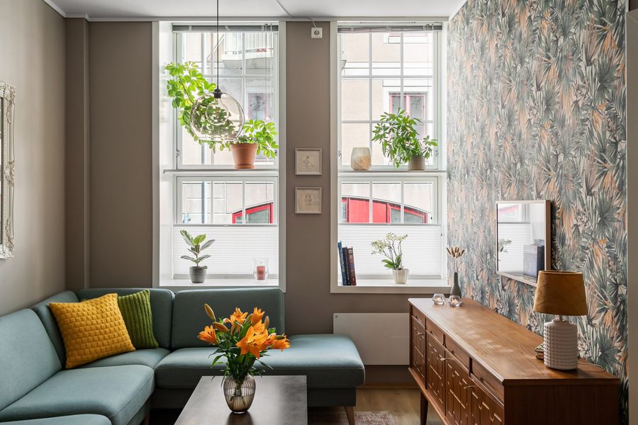 Bright living room with clean air, natural light and healthy houseplants