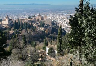 Stunning view of the Alhambra with Granada cityscape in Spain, surrounded by lush cypress trees.