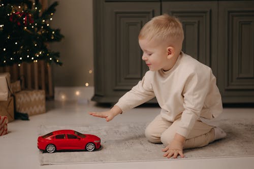 おもちゃ, カーペット, クリスマスの無料の写真素材