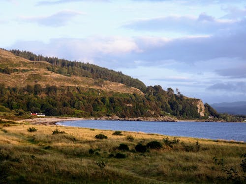A view of a beach and a hillside
