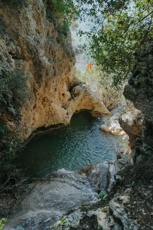 Imagine de stoc gratuită din apă, arbori, arbuști