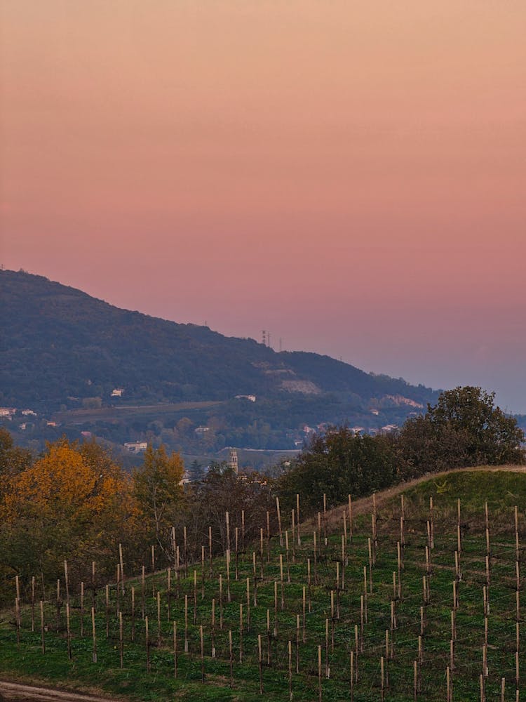 Dusk In The Hills Of Colle Umberto, Treviso