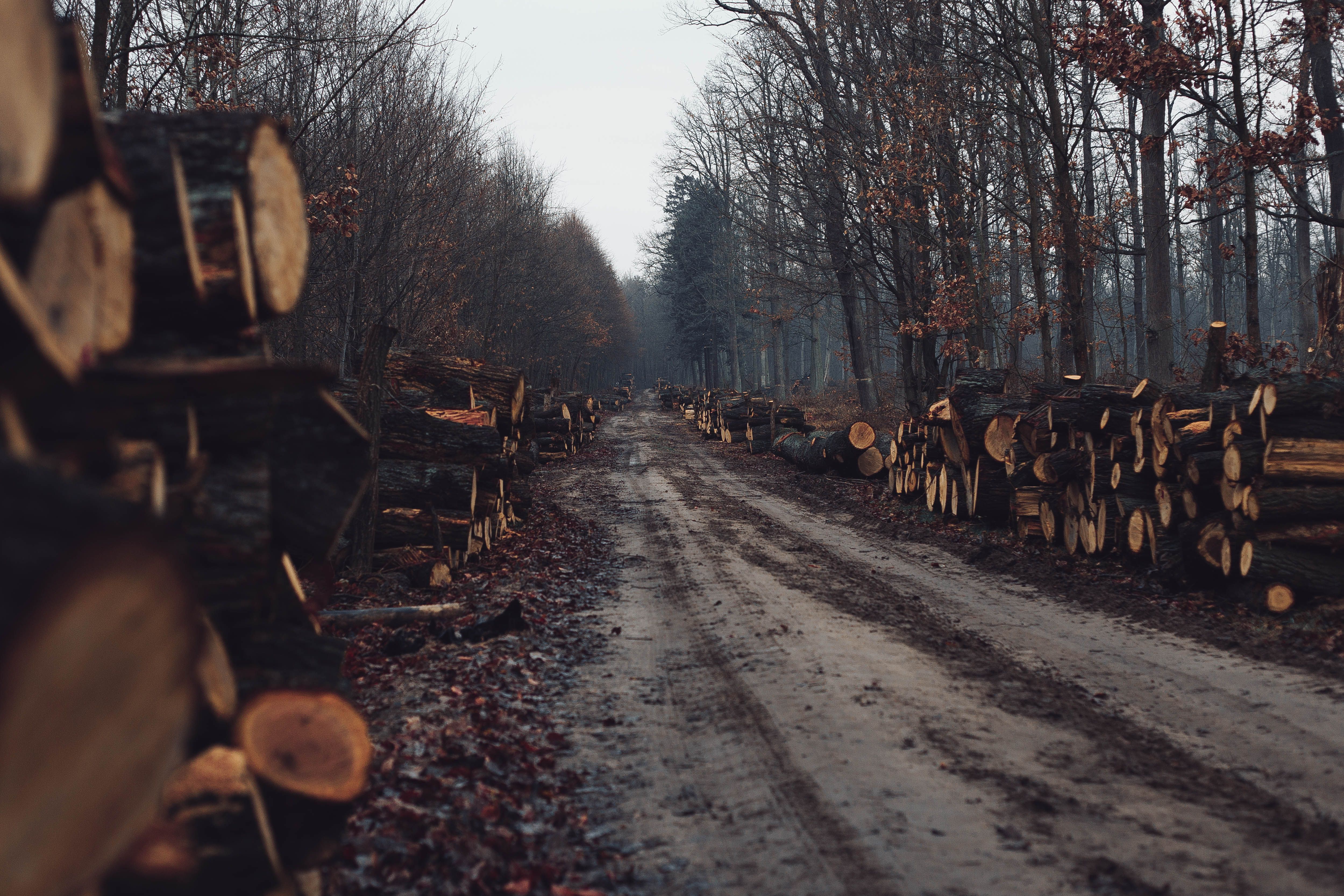 git log showing short-lived feature branches