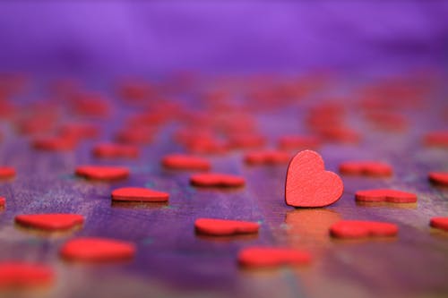 발렌타인 데이, 사랑, 상징의 무료 스톡 사진