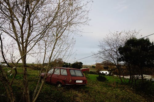 Red Vintage Car on a Field 