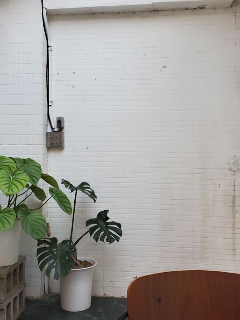 Simple minimalist interior featuring a potted monstera plant against a white tiled wall.