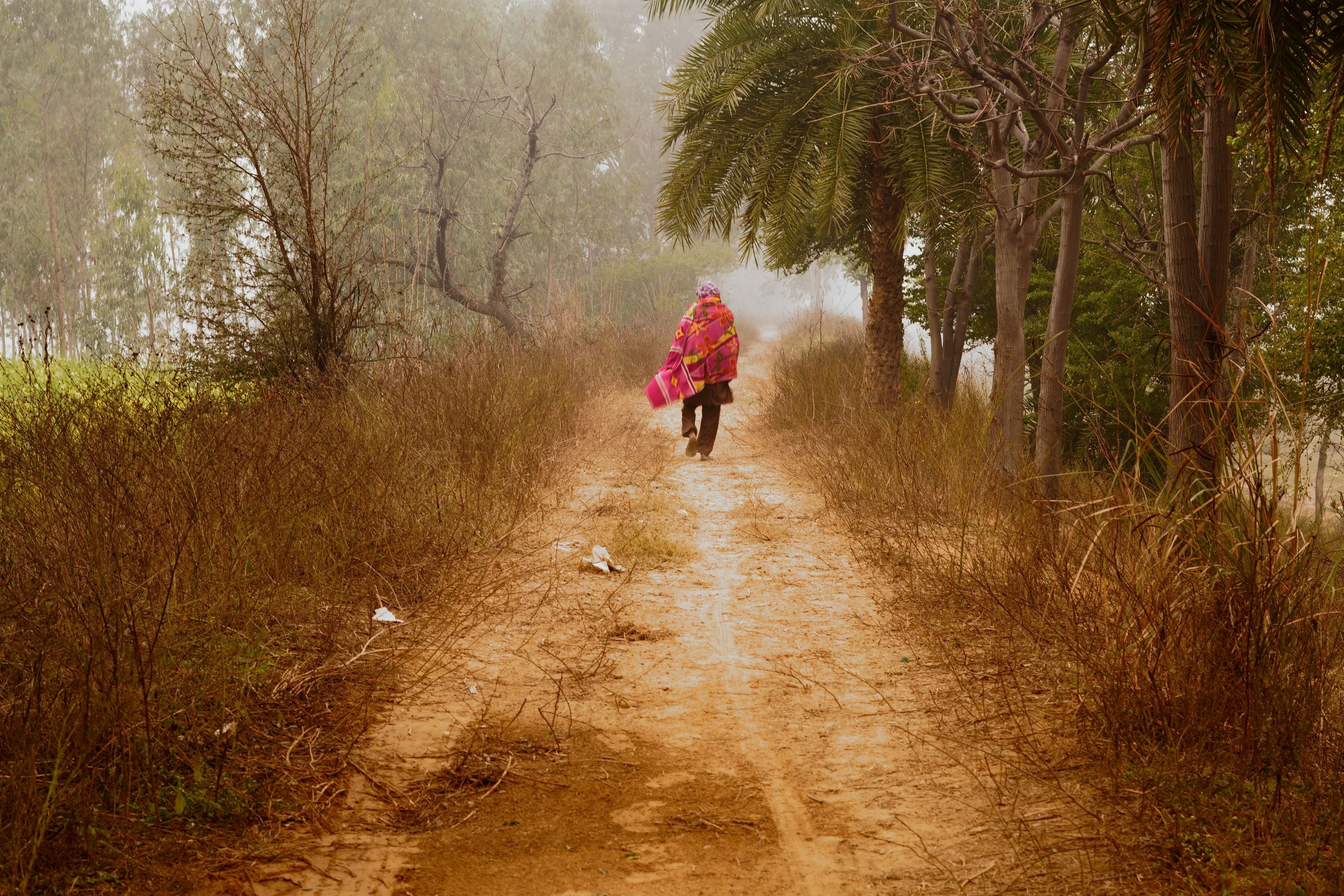Person on Rural Road · Free Stock Photo