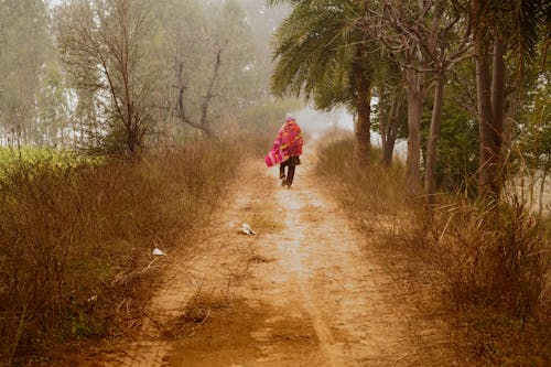 Foto d'estoc gratuïta de boira, camí de carro, caminant