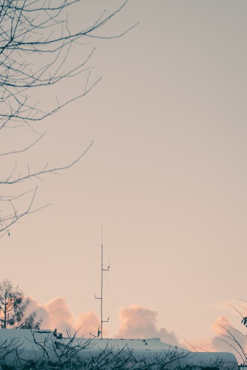 Antenna at Dawn in Winter