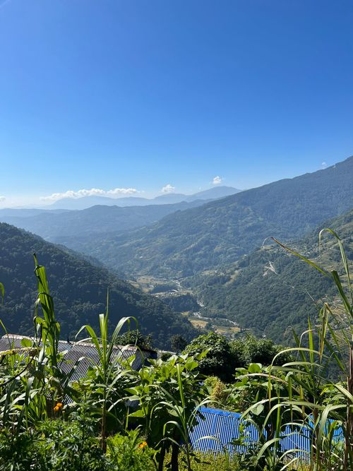 Free Nature Stock Photo