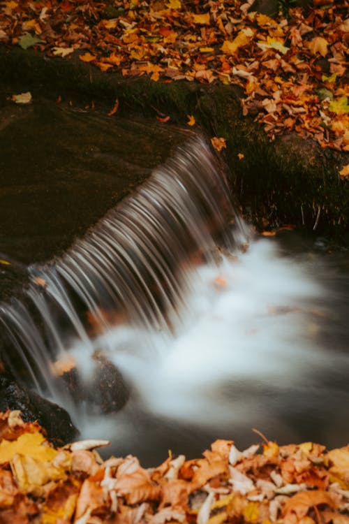 Waterfall in a Forest in Fall 