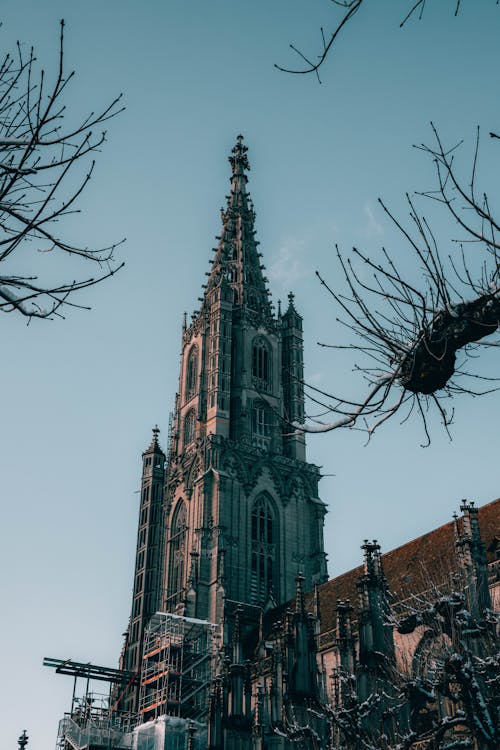 Foto profissional grátis de arquitetura gótica, burgos, catedral