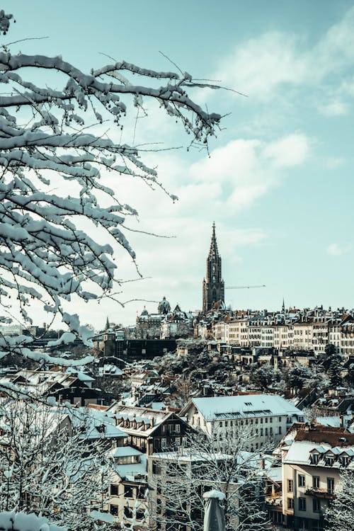 Kostnadsfri bild av arkitektur, byggnader, snö