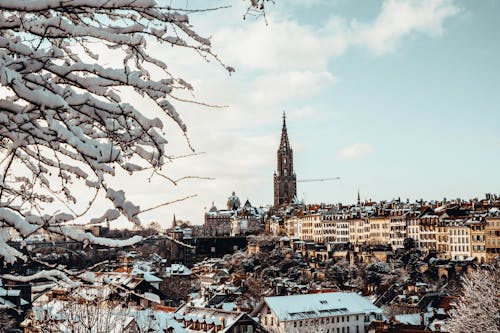 View of a City in Winter 