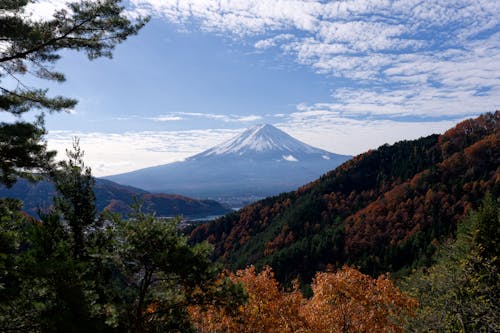Forest and Fuji Mountain behind in Autumn