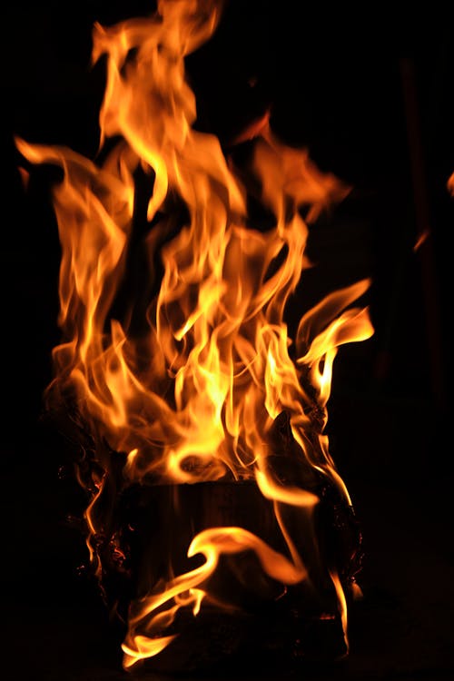 Bonfire Flame at Night