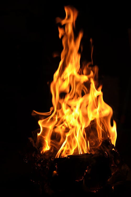 Foto profissional grátis de burning flames, burnt wood, fire