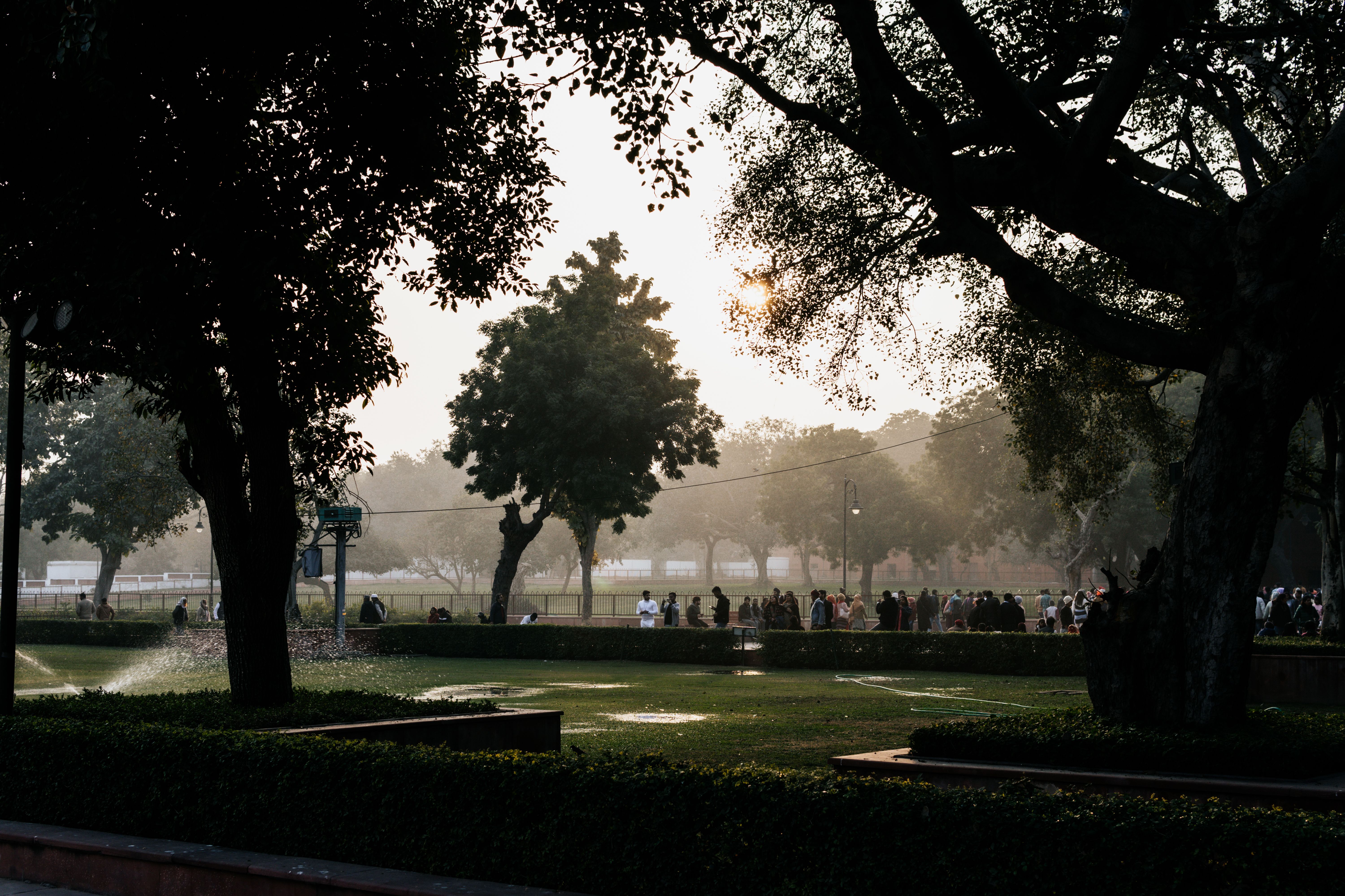 A peaceful park in New Delhi during sunset, with silhouettes of people and trees against the evening sky.