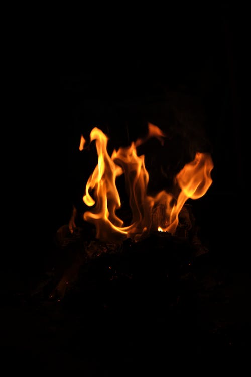 Foto profissional grátis de burning flames, burnt wood, fire