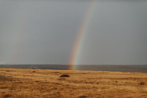 天性, 平原, 彩虹 的 免费素材图片