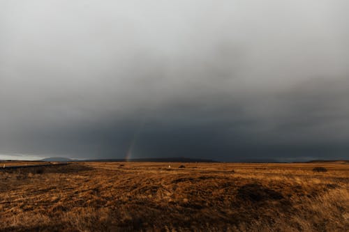 Rain Cloud and Rainbow over Grassland