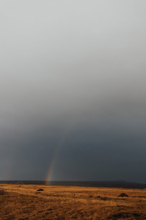 Rain Cloud and Rainbow over Plains