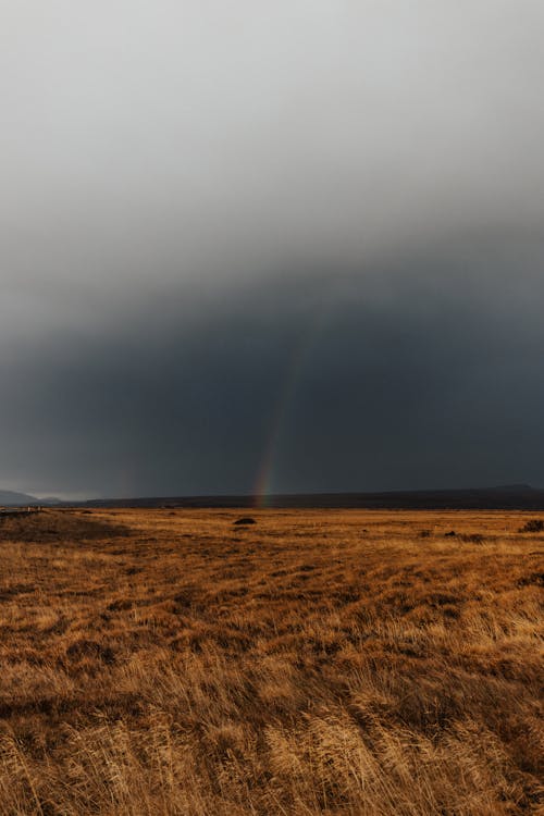 Fotobanka s bezplatnými fotkami na tému dážď oblak, dedinský, dúha