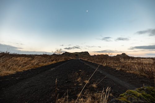 Foto d'estoc gratuïta de camí de carro, cel clar, natura