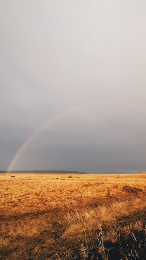 Foto profissional grátis de arco-íris, área, campina