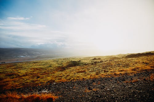 Free Fog over Grassland Stock Photo