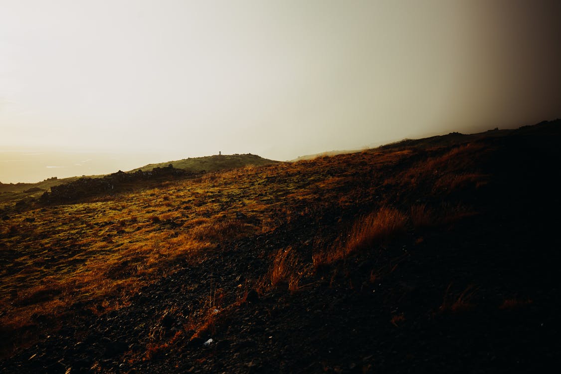 天性, 山丘, 性質 的 免費圖庫相片