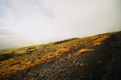 Foto profissional grátis de campina, colina, estrada de terra