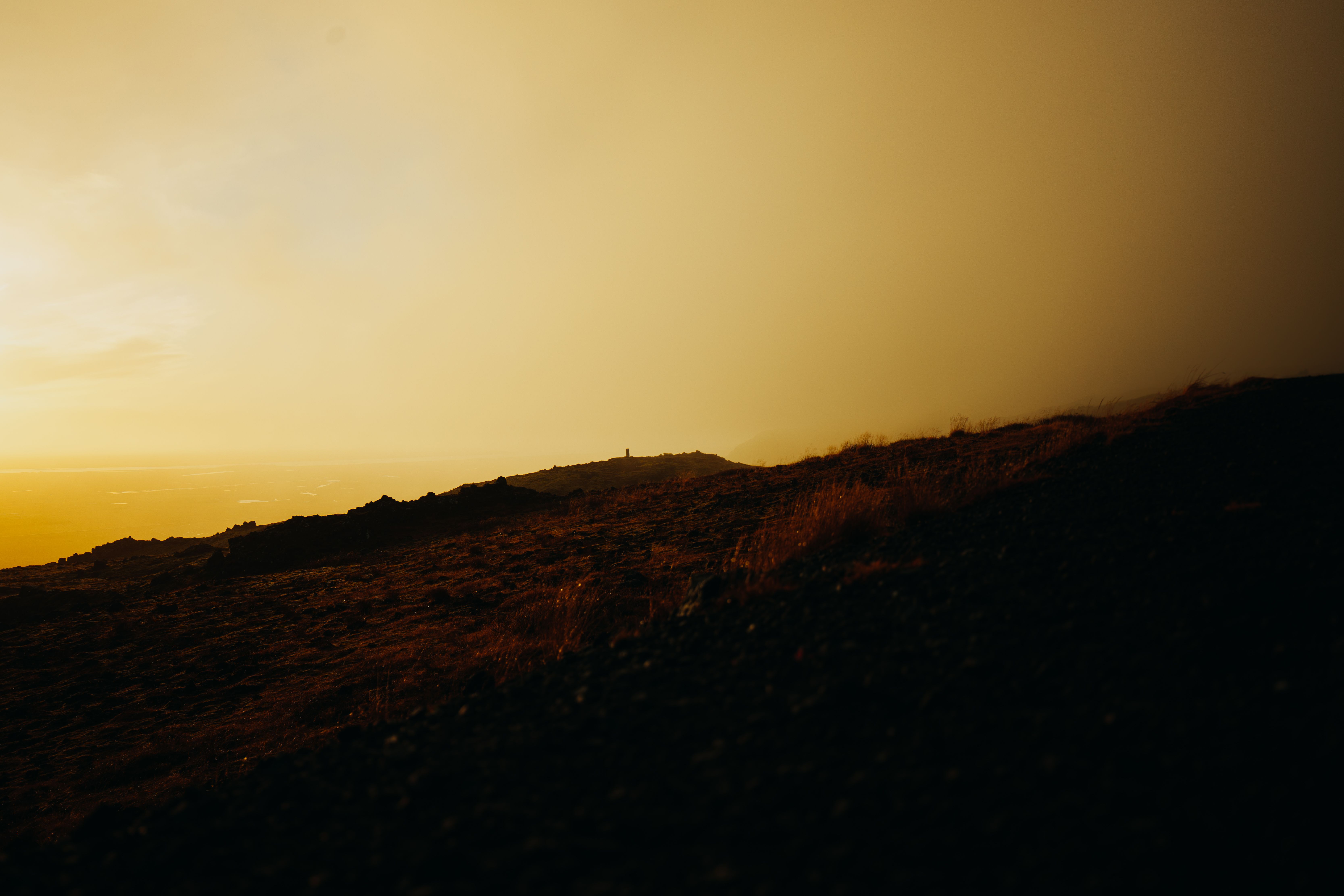 Minimalistic warm muted yellow horizon symbolizing a fresh start in relational wholeness