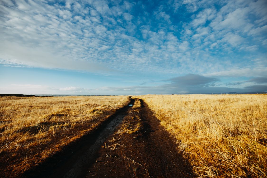 Field Path Ground Path on a Field · Free Stock Photo