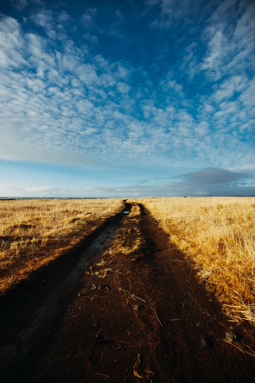 Free Dirt road winding through vast grasslands under a blue sky, showcasing rural tranquility. Stock Photo
