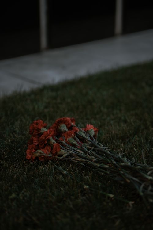 Free A dramatic and moody photo of flowers placed on grass with a nighttime ambiance. Stock Photo