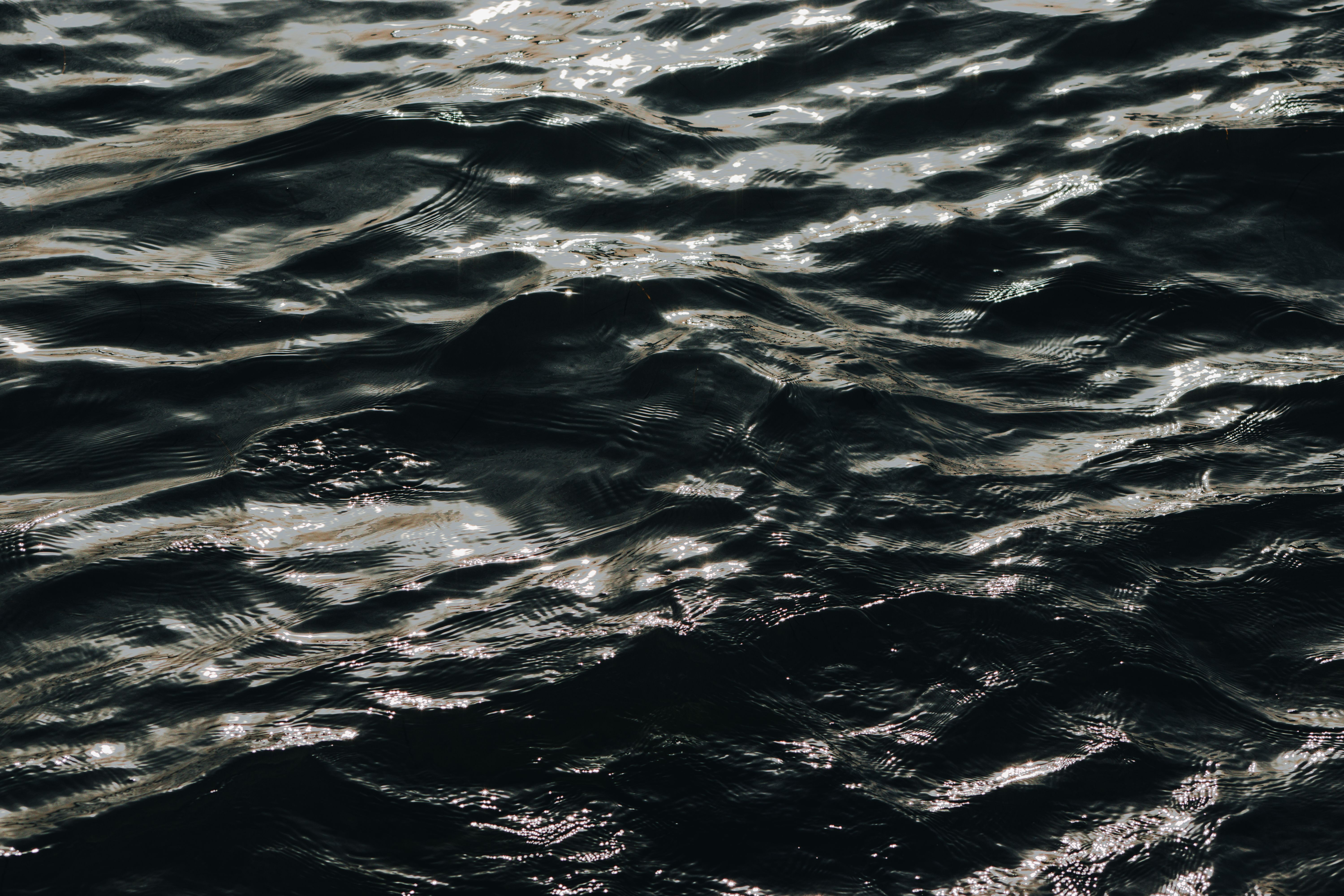 Ripples in Sea · Free Stock Photo