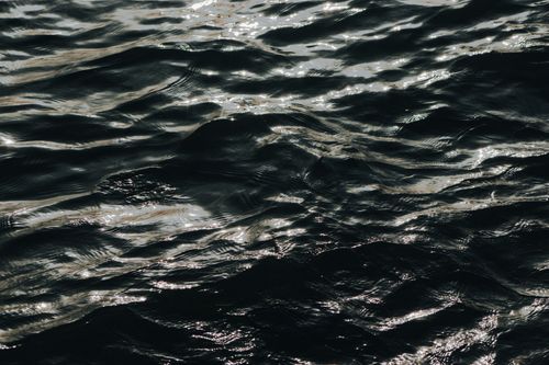 Free Gentle ocean waves reflecting sunlight, creating a calm and serene atmosphere. Stock Photo