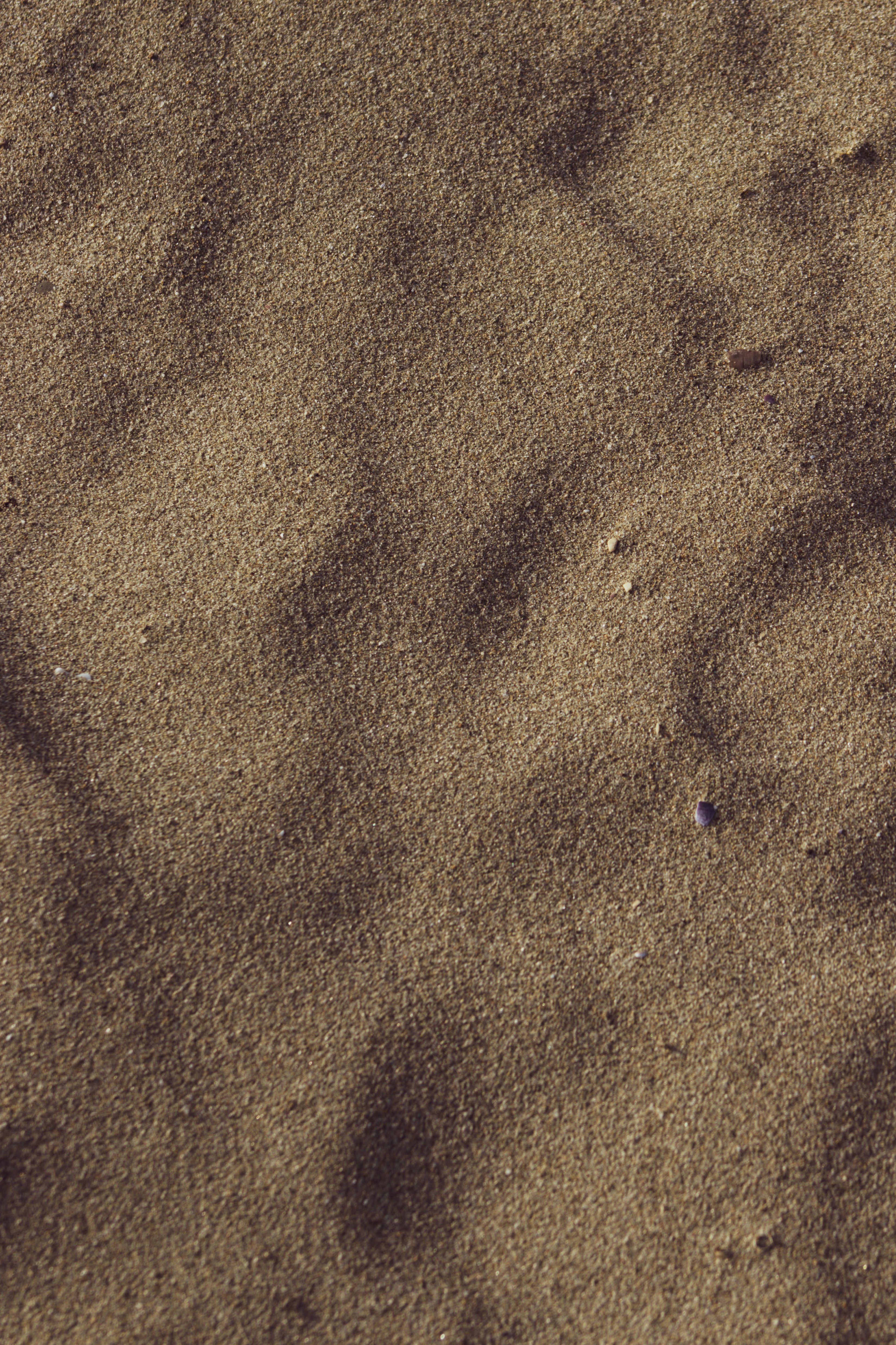 Close-up of textured sand with natural patterns, highlighting earthy tones and organic shapes.