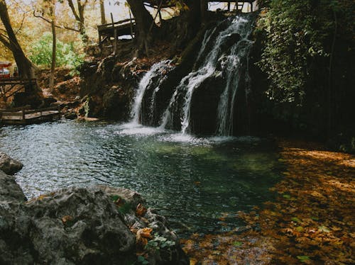 Foto stok gratis air terjun, Daun-daun, jatuh