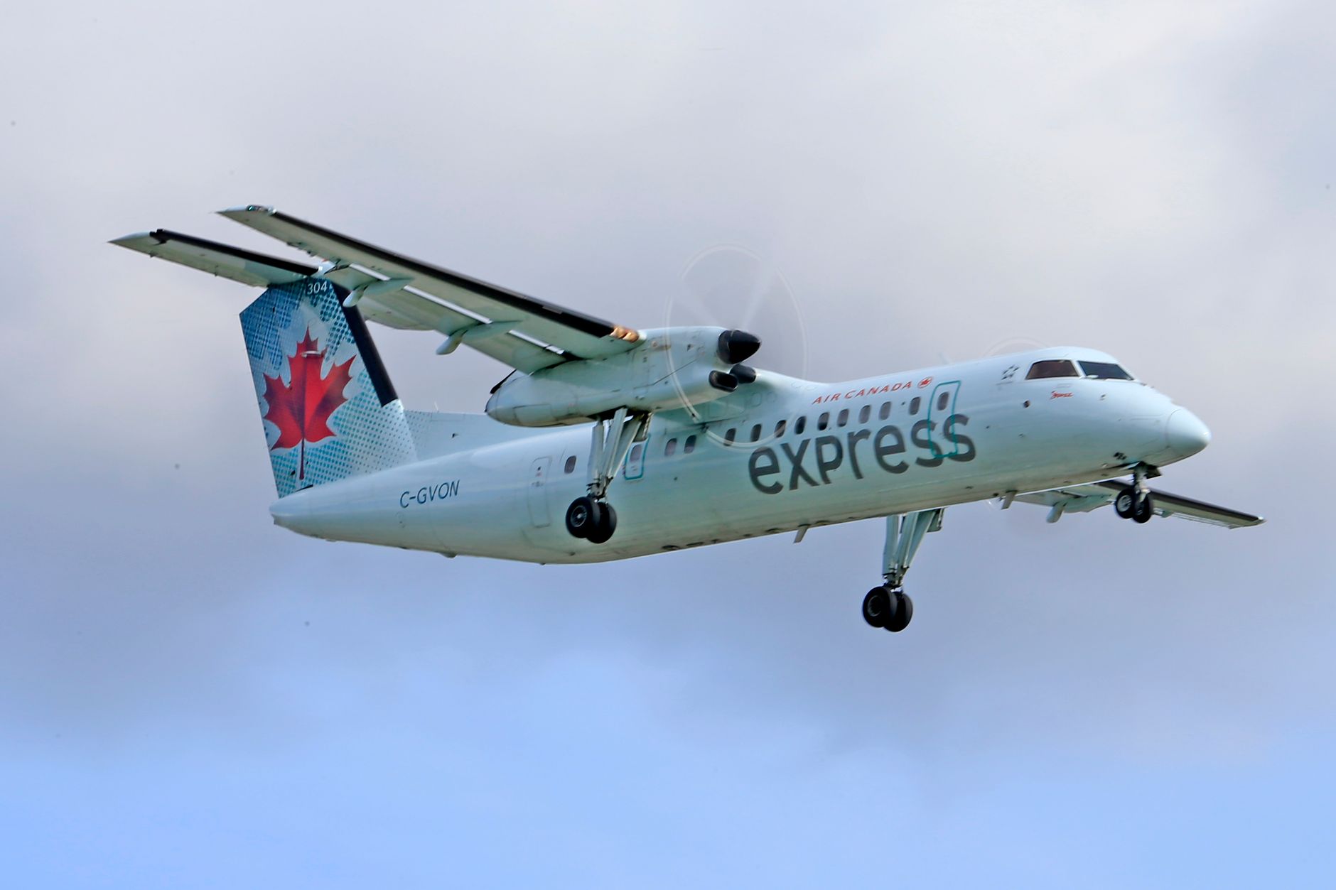Air Canada Aircraft