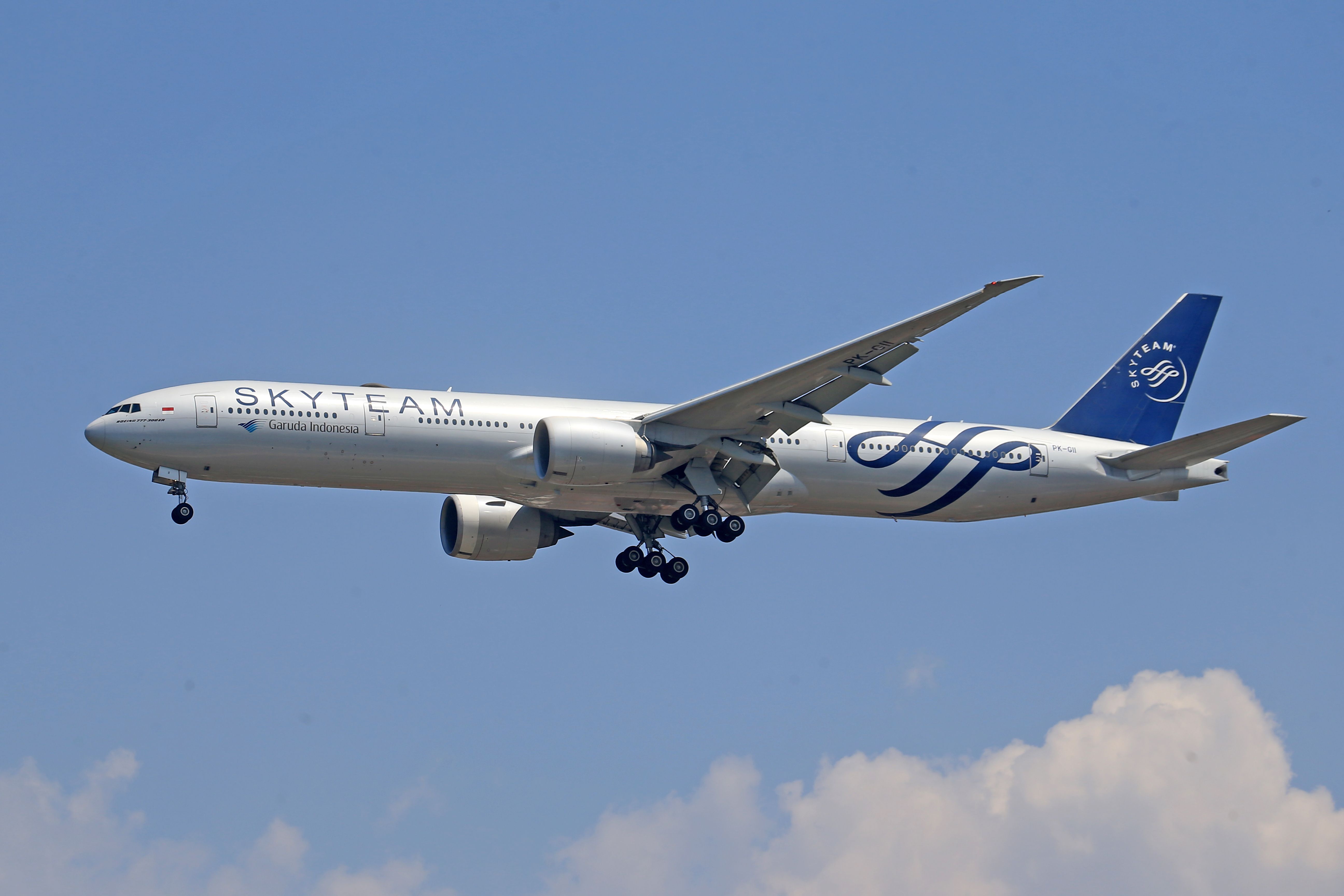 Skyteam Aircraft in Flight