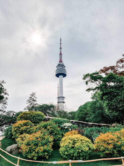 Kostnadsfri bild av höst, namsan tower, seoul