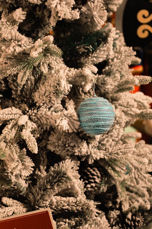 Foto profissional grátis de árvore de Natal, bola de Natal, branco