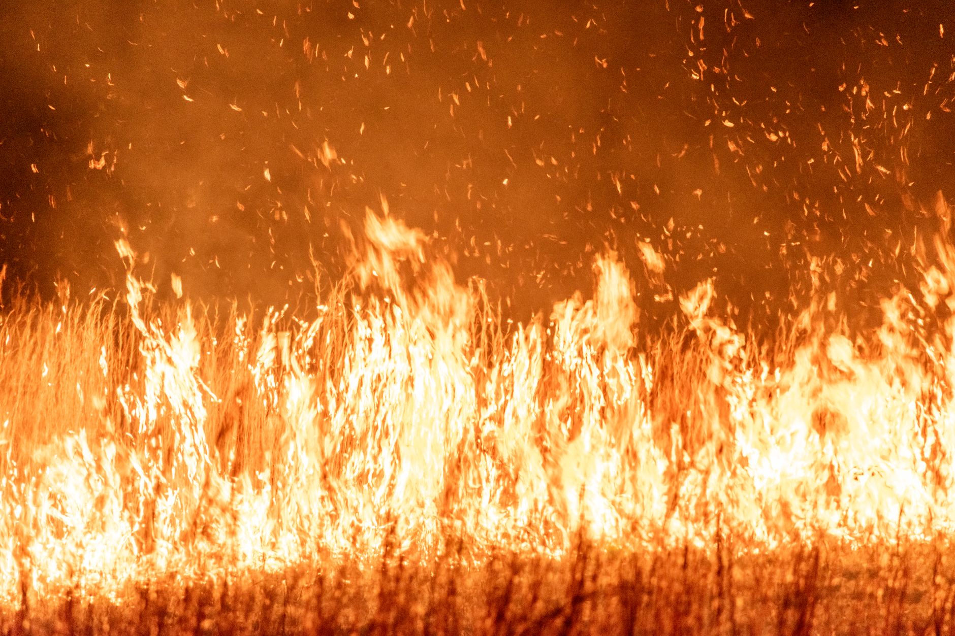 Incendie en Gironde : feu stabilisé mais nouveau pic de chaleur annoncé
