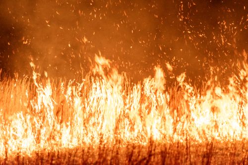 Free Intense flames and smoke rise from a grass fire during twilight, creating a dramatic scene. Stock Photo