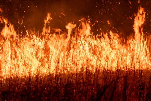 Fire at Night